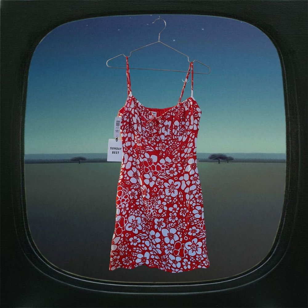 NWT aritzia sunday best delilah red white floral mini dress